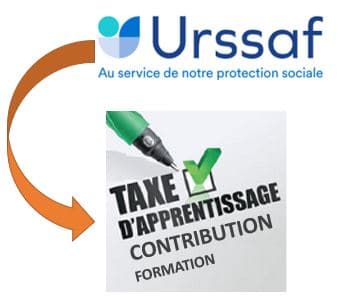 Transfert du recouvrement des contributions  »formation » aux URSSAF : l’ordonnance est parue !