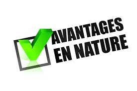 Avantage en nature, frais professionnels et allègements généraux : le BOSS est mis à jour !